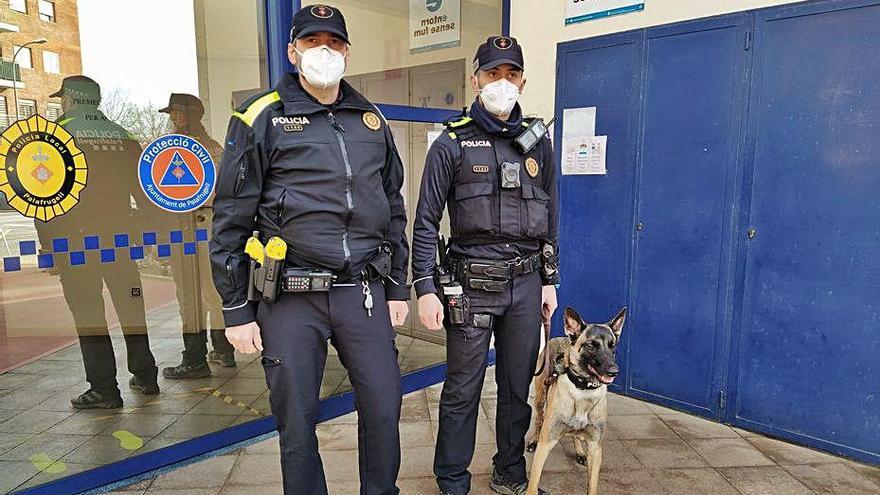 Palafrugell incorpora una unitat canina per evitar el consum i tinença de drogues