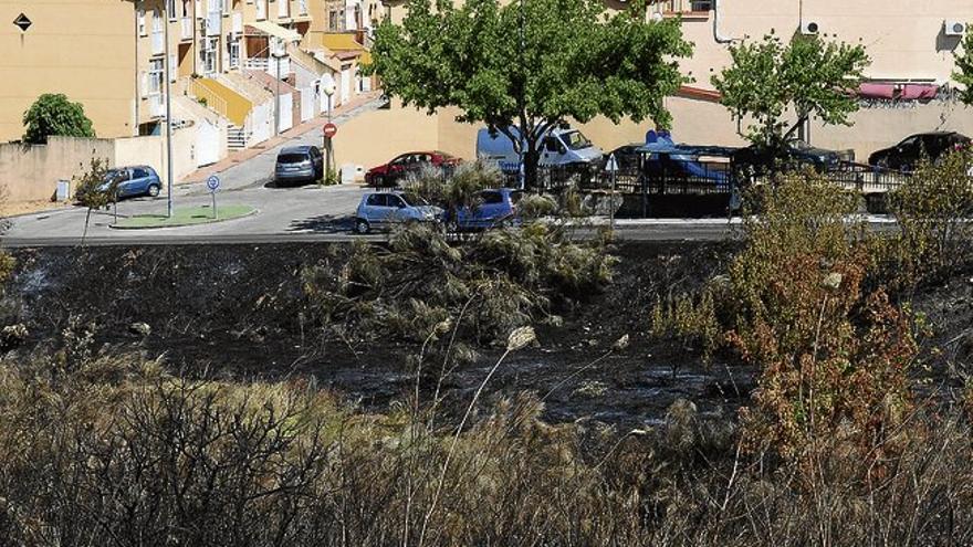 Una oleada de incendios de pasto en Plasencia acaba con dos menores pillados