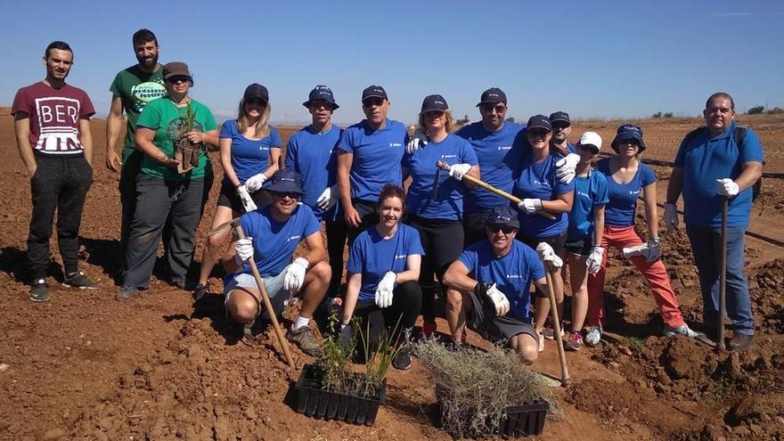 Los trabajadores de la empresa de aguas, durante la plantación de las barreras naturales.