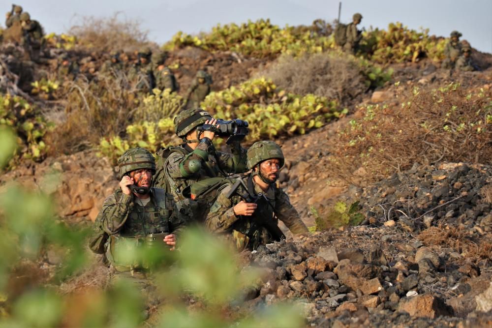 Ejercicio anual de entrenamiento de la brigada