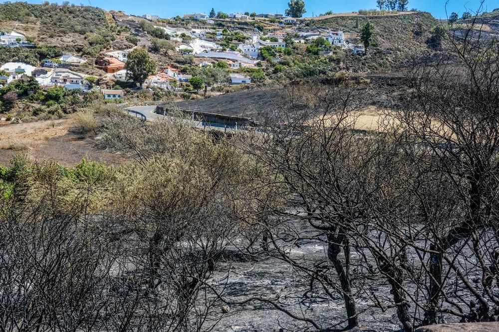 Incendio en Gran Canaria | Zonas afectadas en las medianías de Gáldar y en Artenara