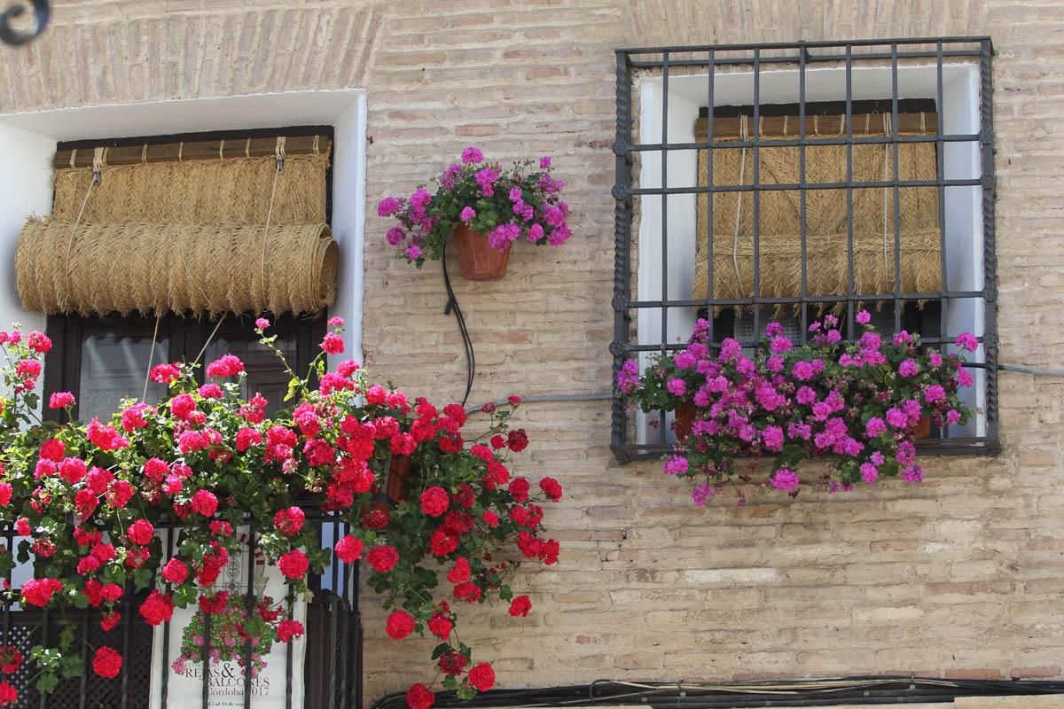 Fotogalería / Concurso municipal de Rejas y Balcones