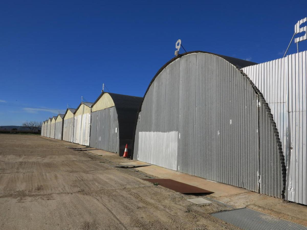 Binissalem: Flugplatz zur grünen Wiese Binissalem: Flugplatz zur grünen Wiese