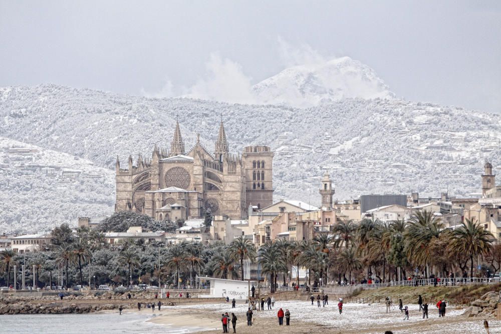 Cinco años de la gran nevada en Palma