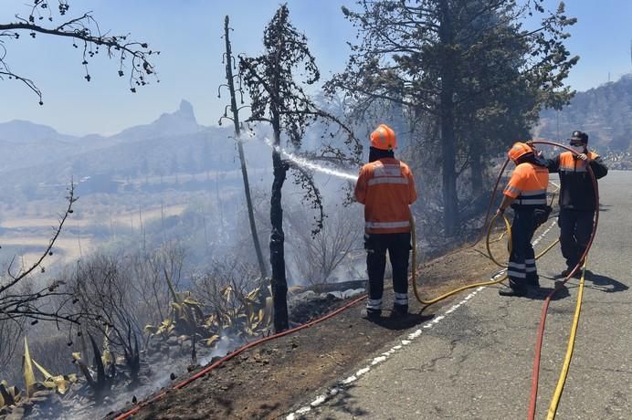 Incendio en la zona de Llano Grande