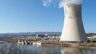 División entre Iberdrola y Endesa por la batalla legal contra la subida de tasas a las nucleares