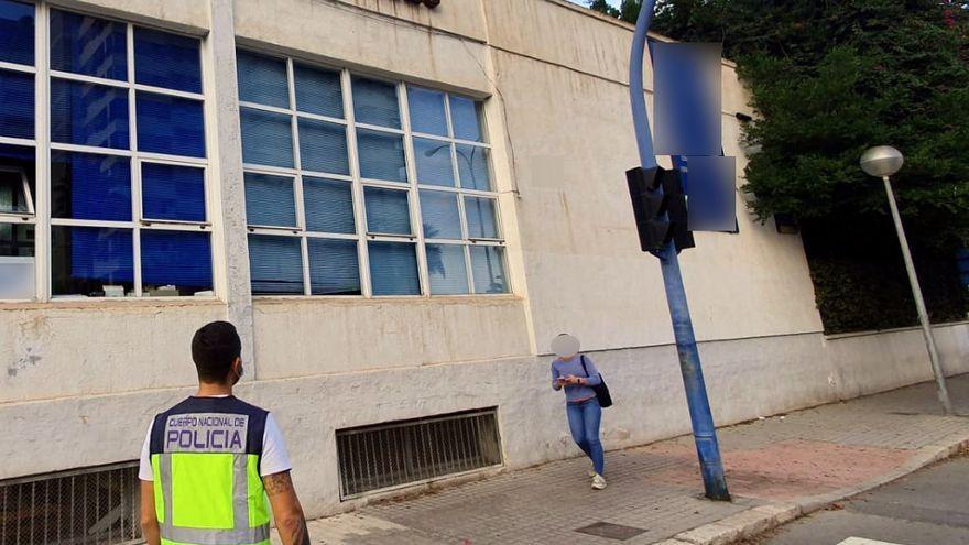 Les detienen por robar en un instituto de Alicante y acaban desmantelando un huerto de maría