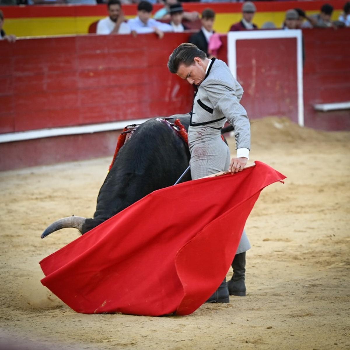 Un sentido novillero Pablo Torres, en València