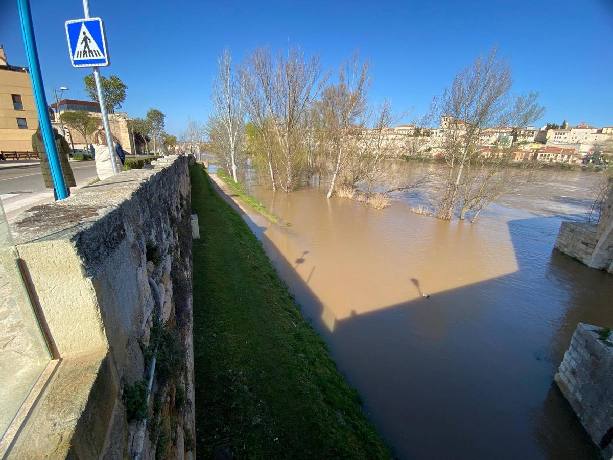 Zamora. Crecida del Río
