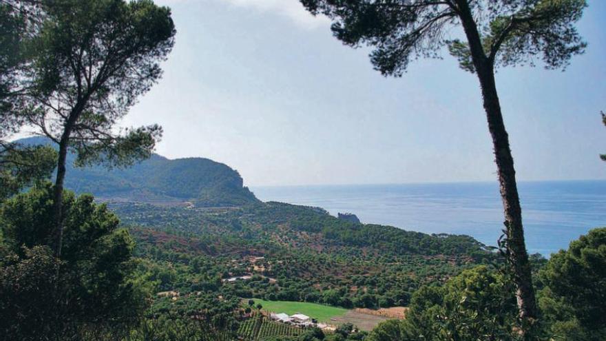 So schön und doch so dreckig: die Küste von Es Canonge auf Mallorca