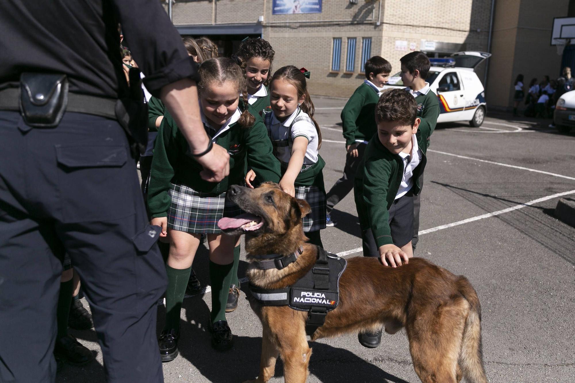 Razones para ser policia
