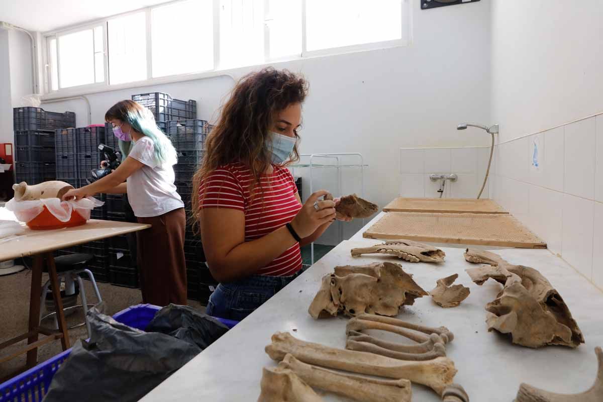 Presentación de restauraciones realizadas en el Taller de Arqueología