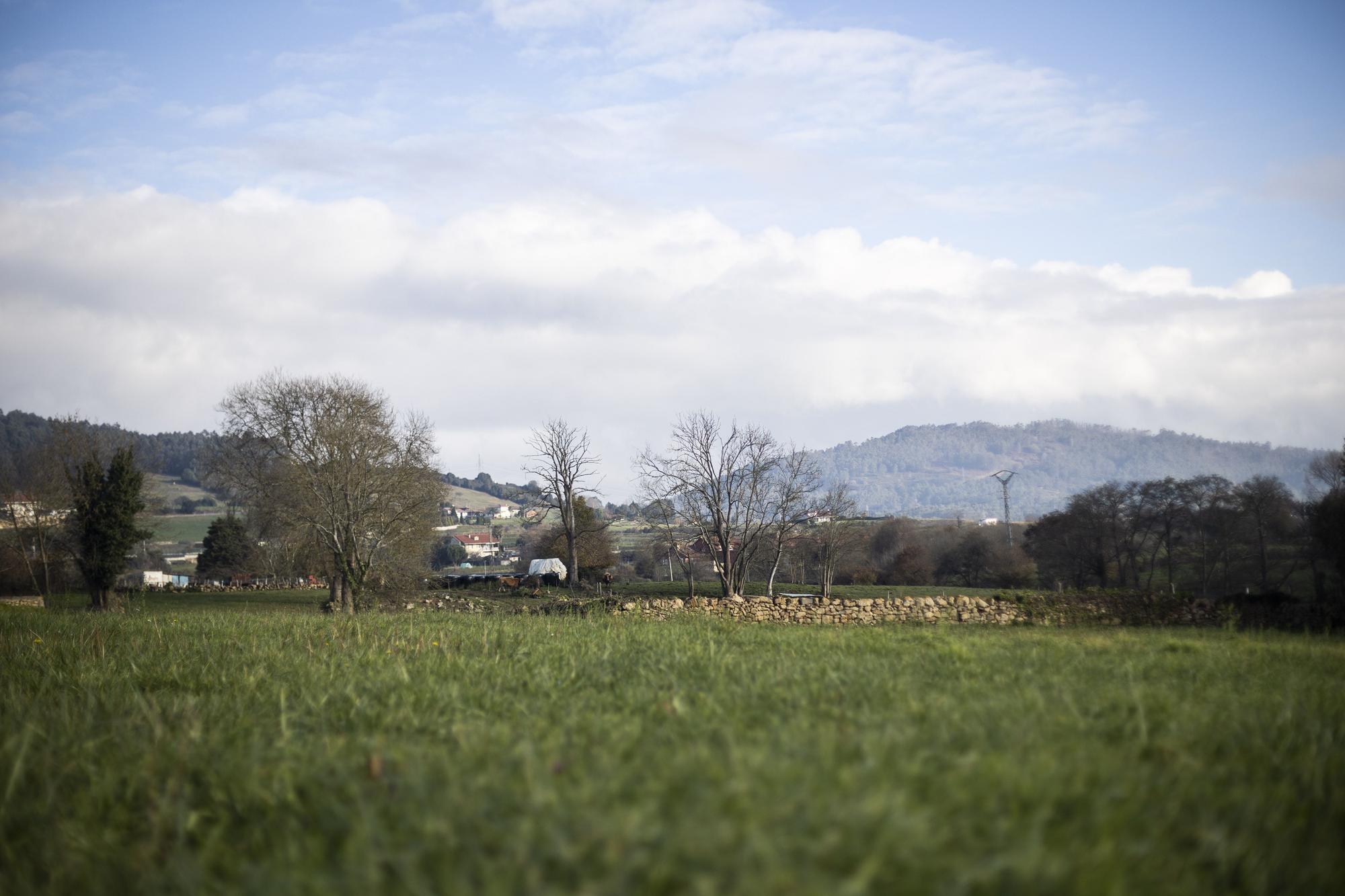 Asturianos en Llanera, un recorrido por el municipio