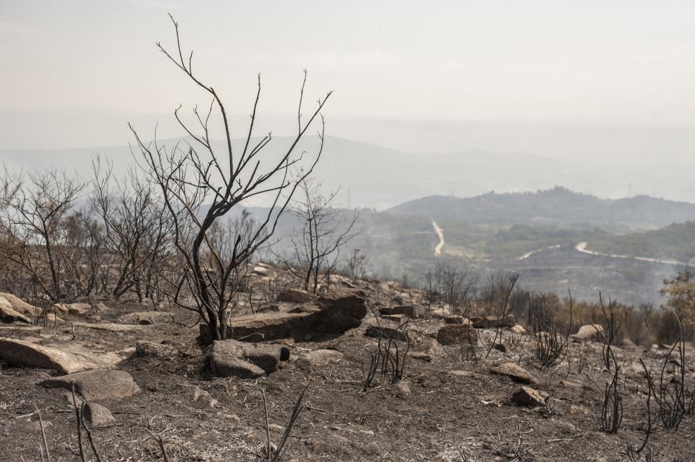 Incendios en Galicia | Desvastación del fuego en Monterrei