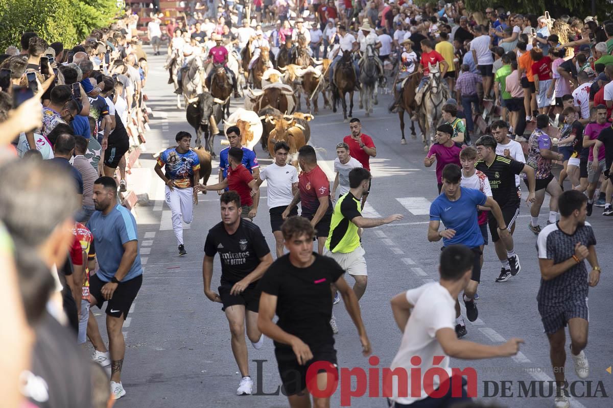Quinto encierro de las Fiestas de Moratalla