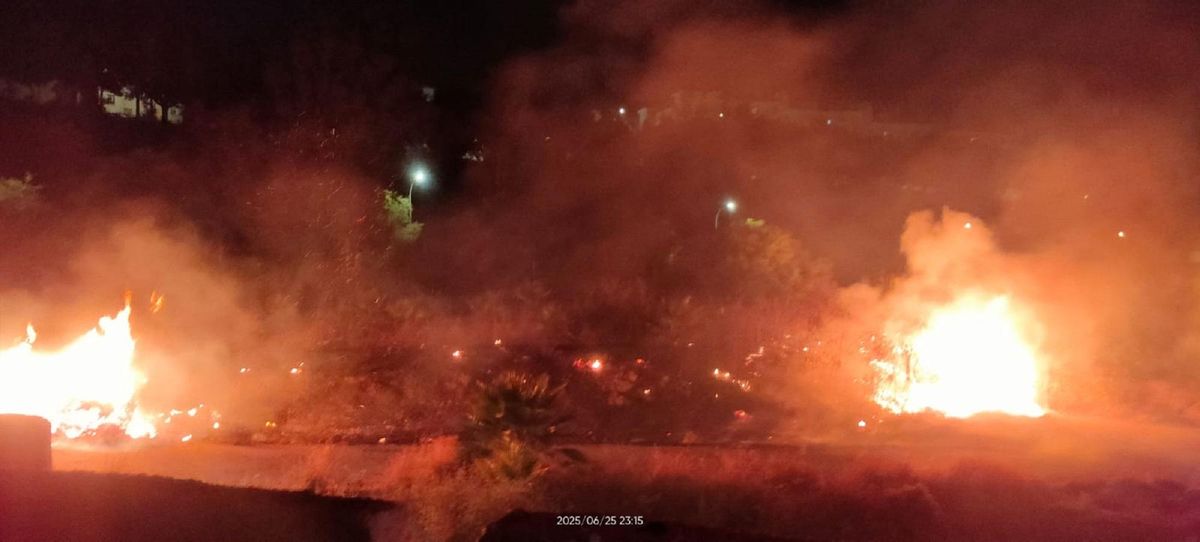 Los trabajadores que vigilan el parque avisaron a los bomberos, que ya habían sido alertado por algunos vecinos.