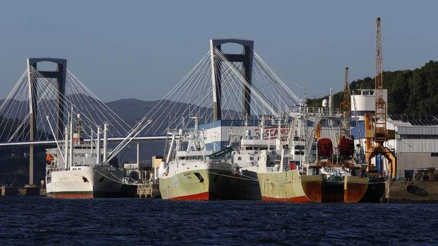 Arrastreros de la flota de Malvinas amarrados ayer en el muelle de Frioya. // Ricardo Grobas