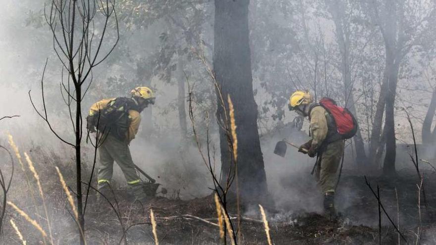 Dos brigadistas trabajando ayer en la extinción del incendio declarado a mediodía en Cartelle . // J. Regal