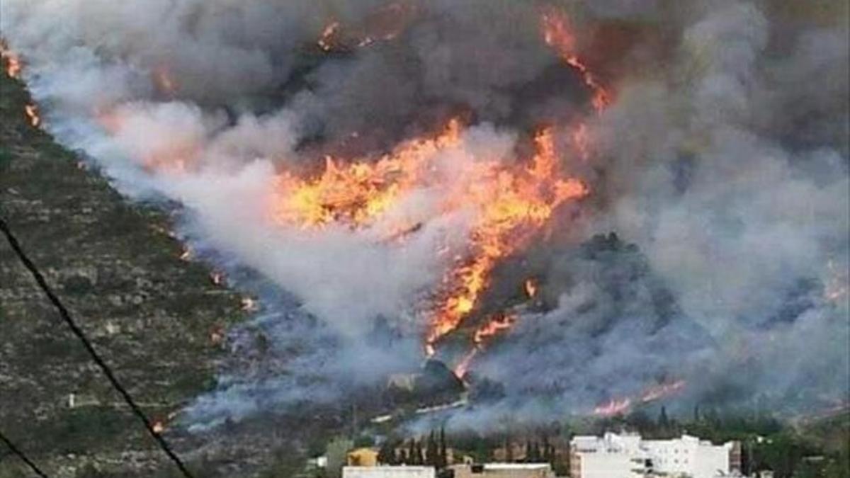Incendio forestal en Barx.