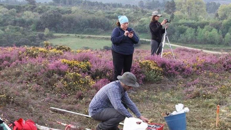 Trabajos de los arqueólogos. // FdV