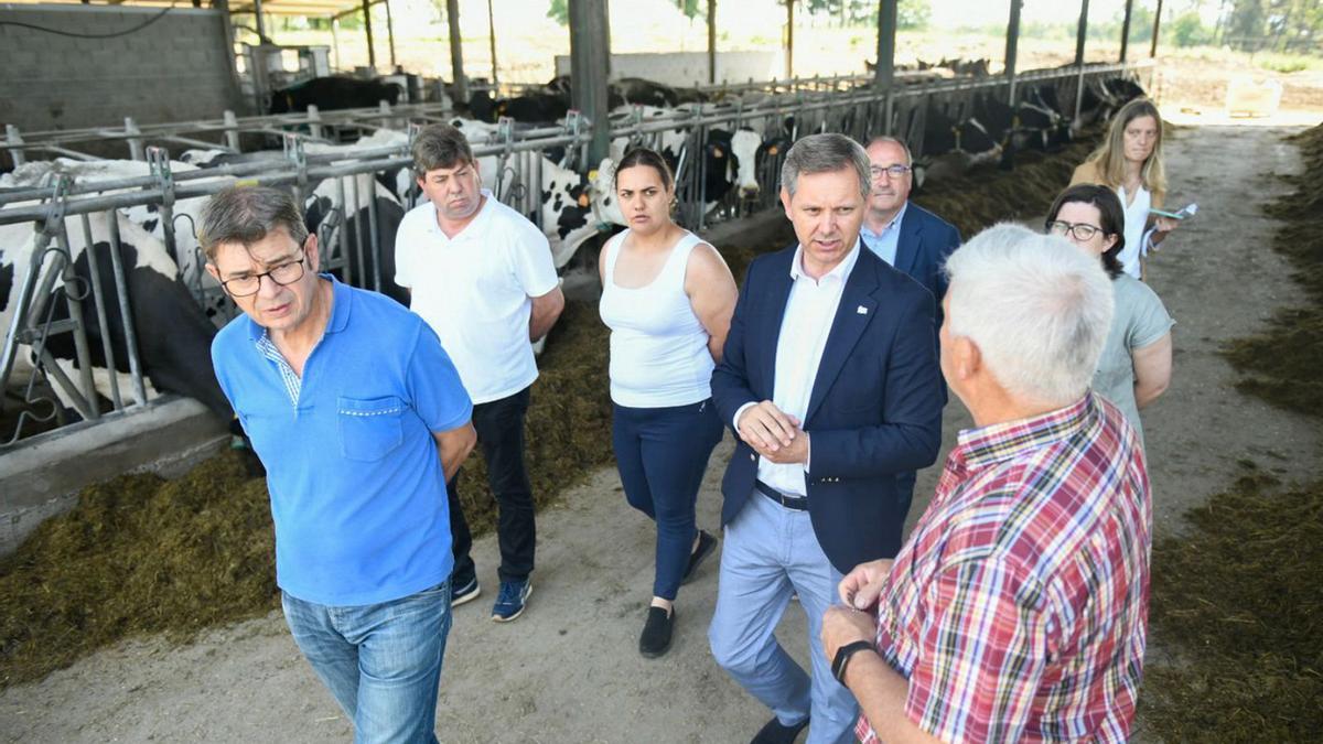 El delegado del Gobierno en Galicia en la visita a la explotación Agrasilva de Palio. |   // BERNABÉ/JAVIER LALÍN