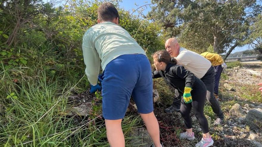 Los alumnos de As Bizocas consiguen erradicar la uña de gato en A Toxa en un proyecto de Galicia Ambiental.   | // FDV