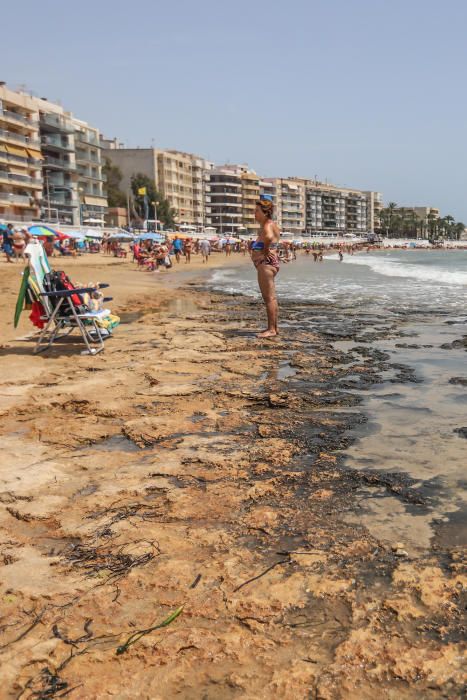 Costas y el Ayuntamiento descartan actuaciones como ampliar espigones y abordarán la regeneración con la aportación de 30.000 metros cúbicos anuales de arena