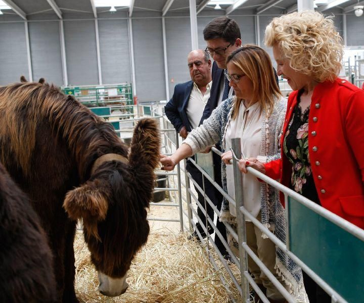 I Feria Raíces Zamora-Rural