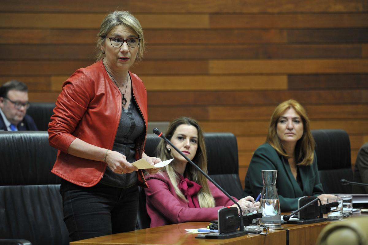 La portavoz del PP en la Asamblea, Cristina Teniente.