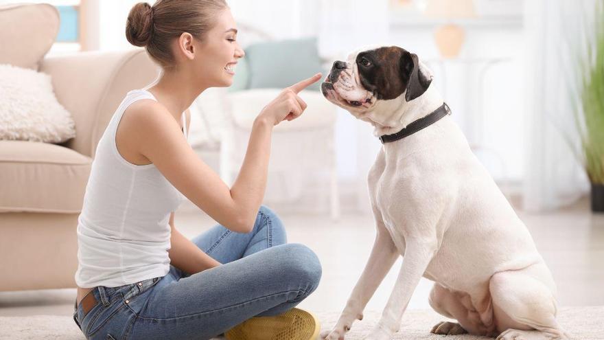 Las personas que hablan con su perro como si fuera humano co
