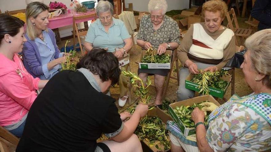 Un grupo de mujeres preparaba ayer los elementos naturales para realizar la aflombra floral.