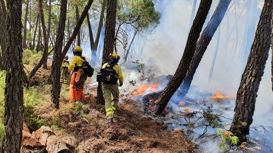 Estabilizado el incendio forestal de Jubrique