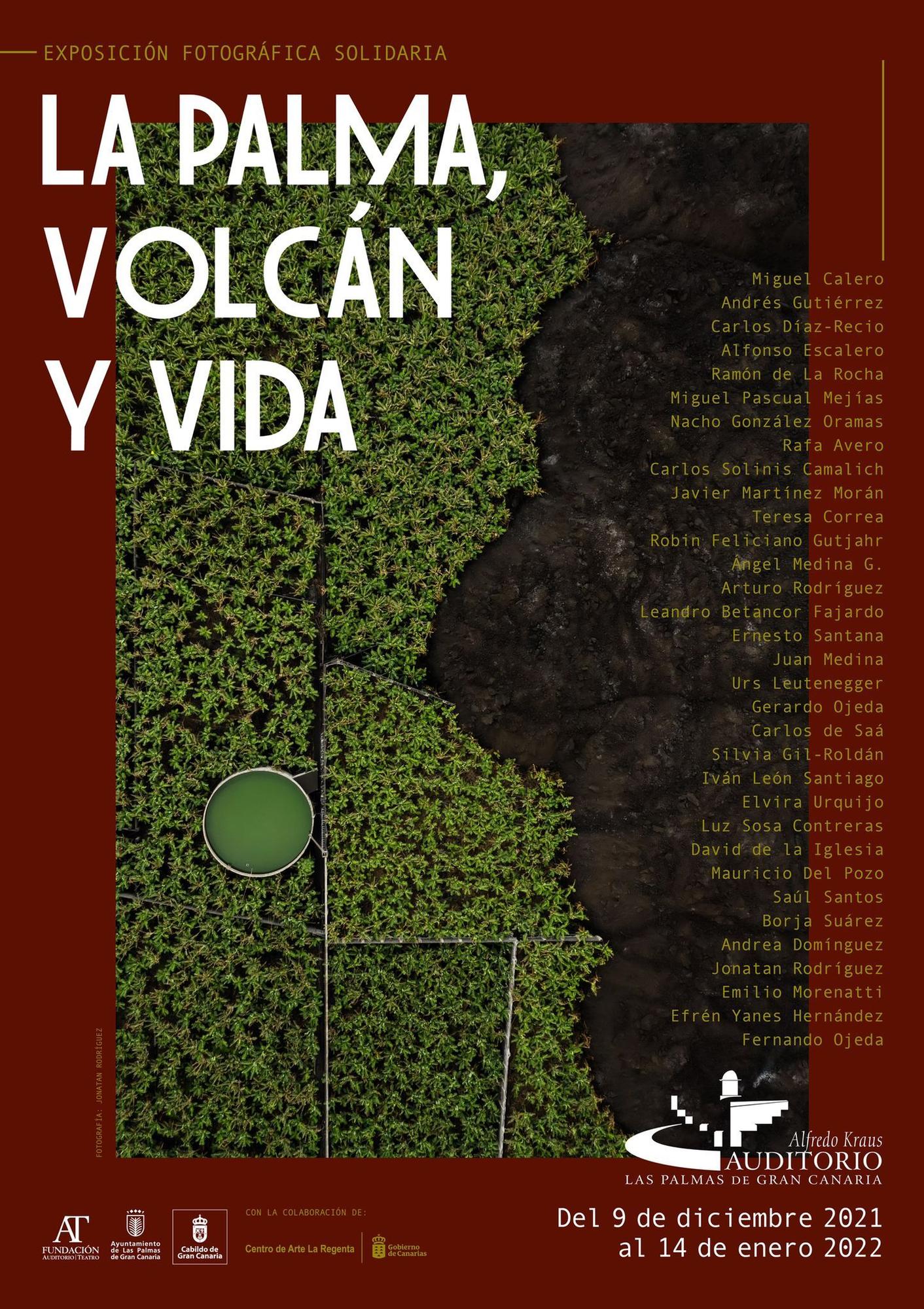 Cartel de &#039;La Palma, volcán y vida&#039;