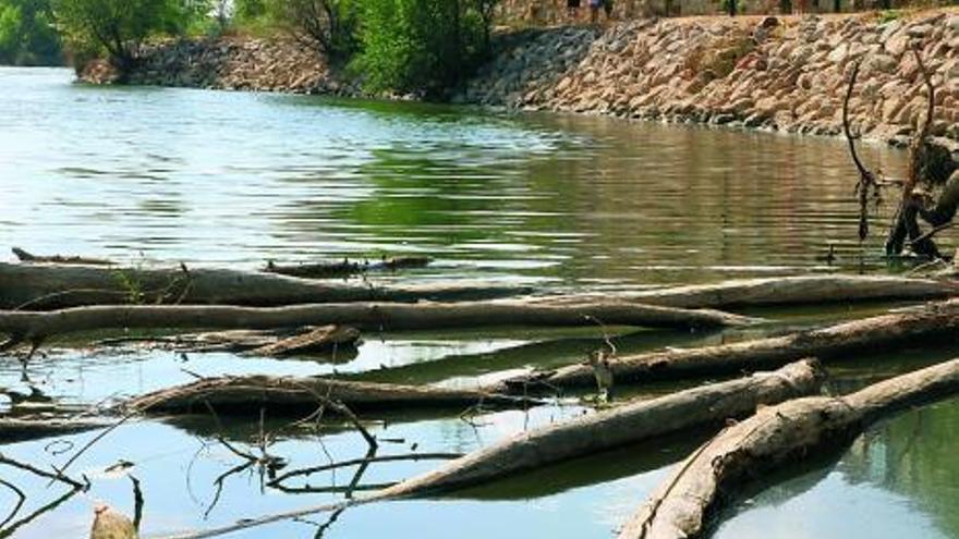 Vecinos de La Horta denuncian falta de limpieza del río y una avería en la fuente de Santo Tomé