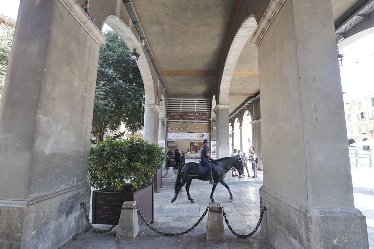 FOTOS | Por qué se conoce a la Plaça Major como la “plaza más oscura de Palma”
