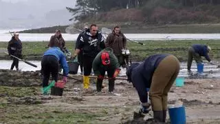 Achacan a la acumulación de arena fina la alta mortandad del marisco en Camariñas