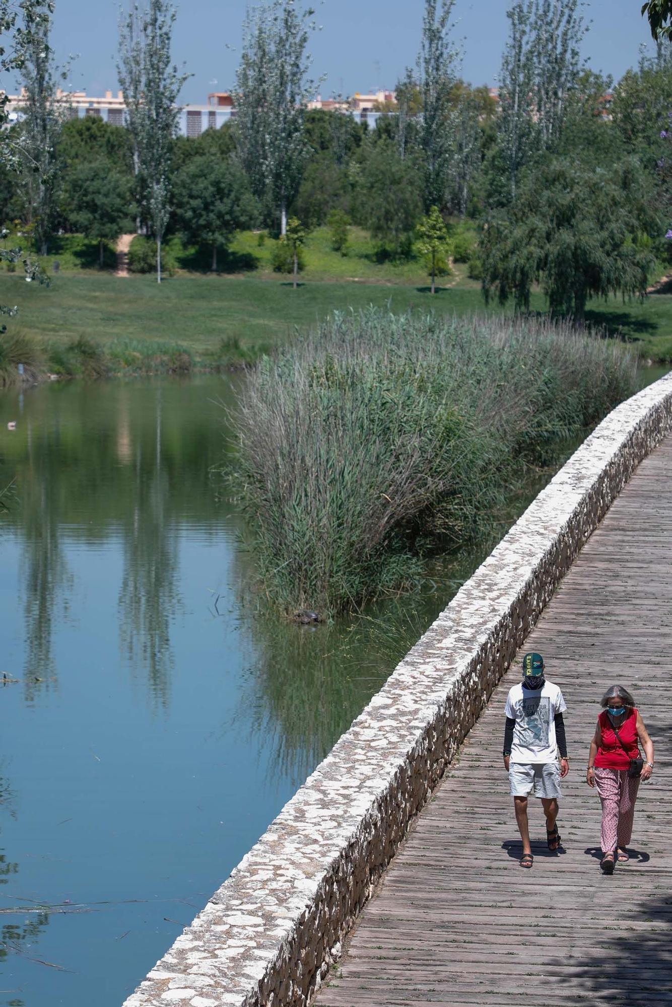 Parque de Cabecera, uno de los pulmones de València