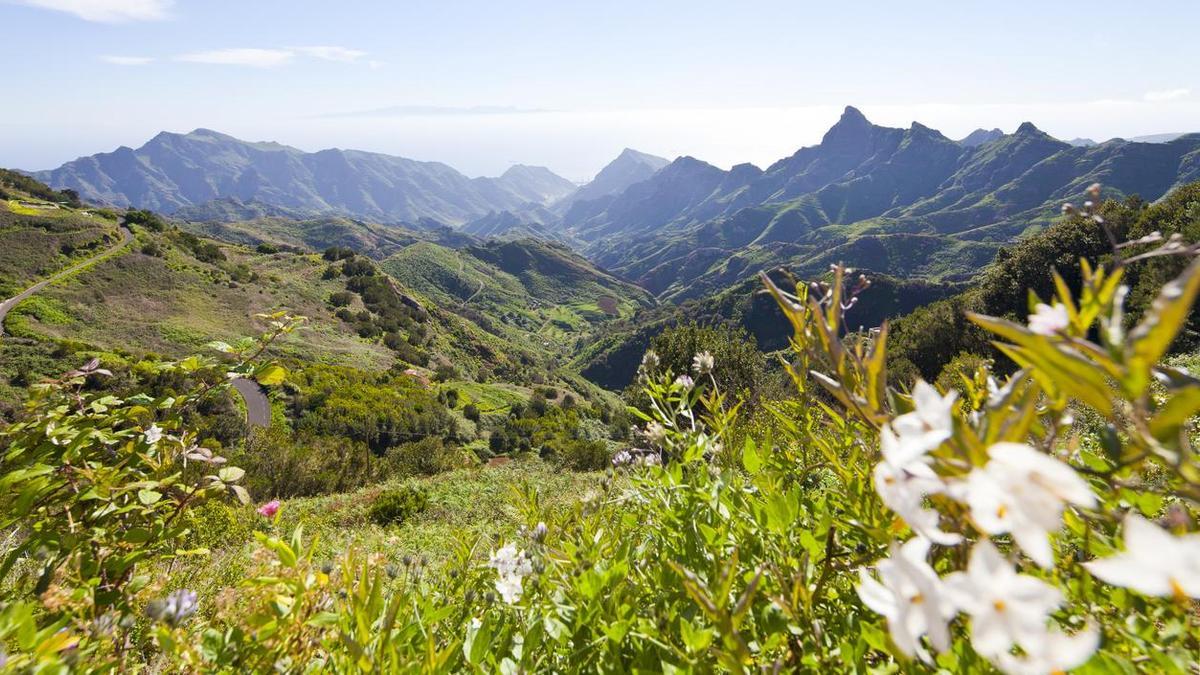 La ruta de senderismo del Bosque Encantado es de las más bonitas de Canarias