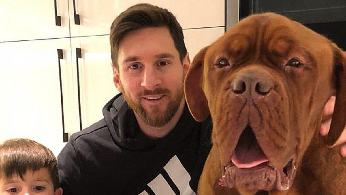'Hulk', el dogo de Leo Messi