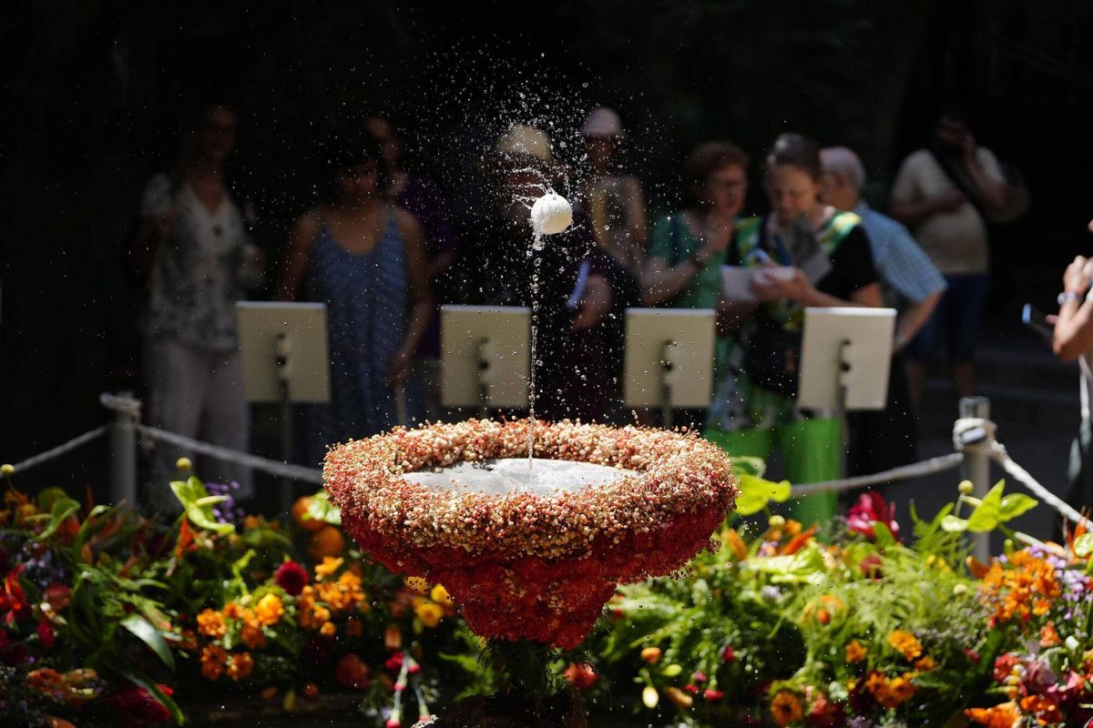 Barcelona 20/06/2025 Lou com balla, ahora con agua nuevamente. en la foto, el Museu Marés Fotografía de Ferran Nadeu