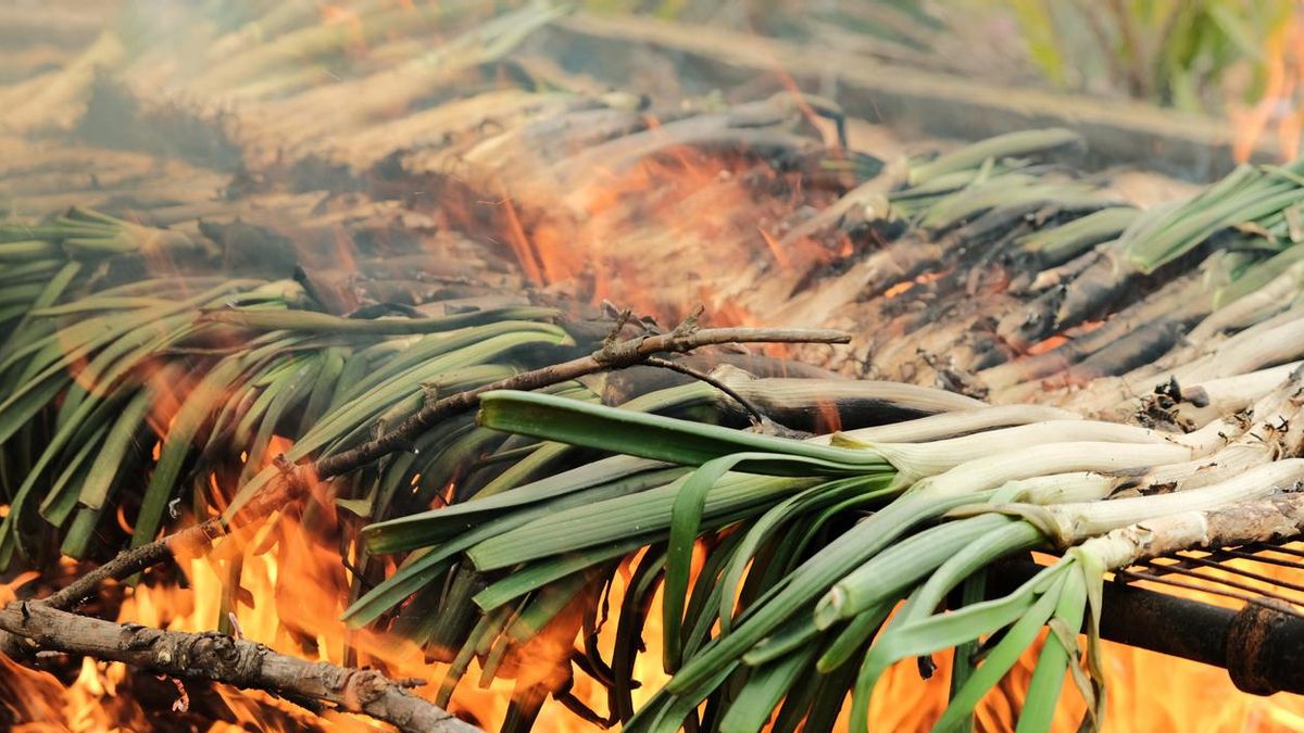 A la parrilla y a fuego directo, ya que se pelan antes de comerlos