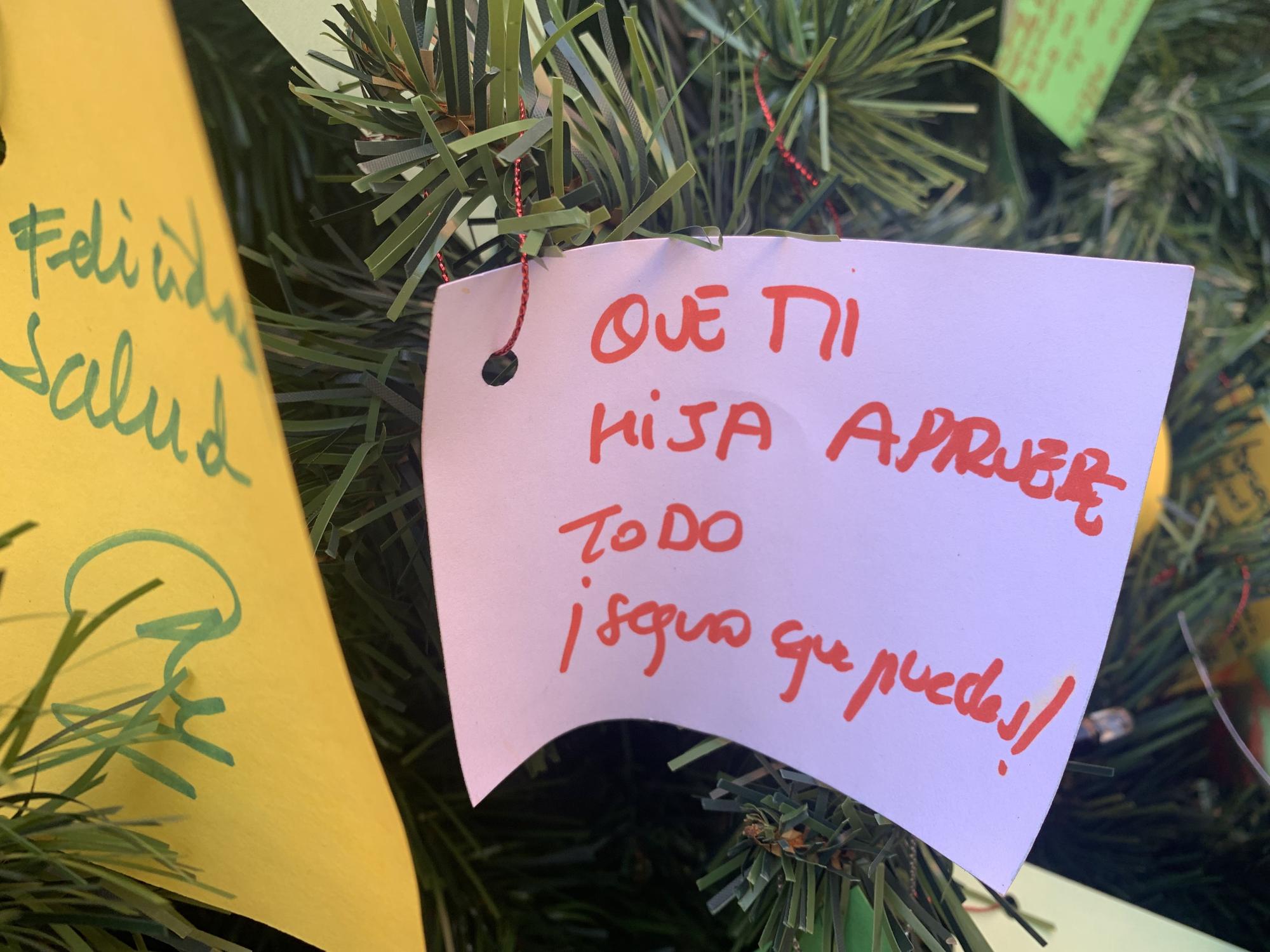 El árbol de los deseos de Oviedo está en El Fontán