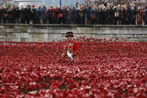 La Torre de Londres se cubre con una marea roja de flores de cerámica que recuerdan a los caídos en la Gran Guerra