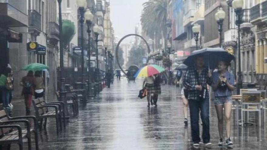 &#039;Miércoles de perros&#039; en Canarias