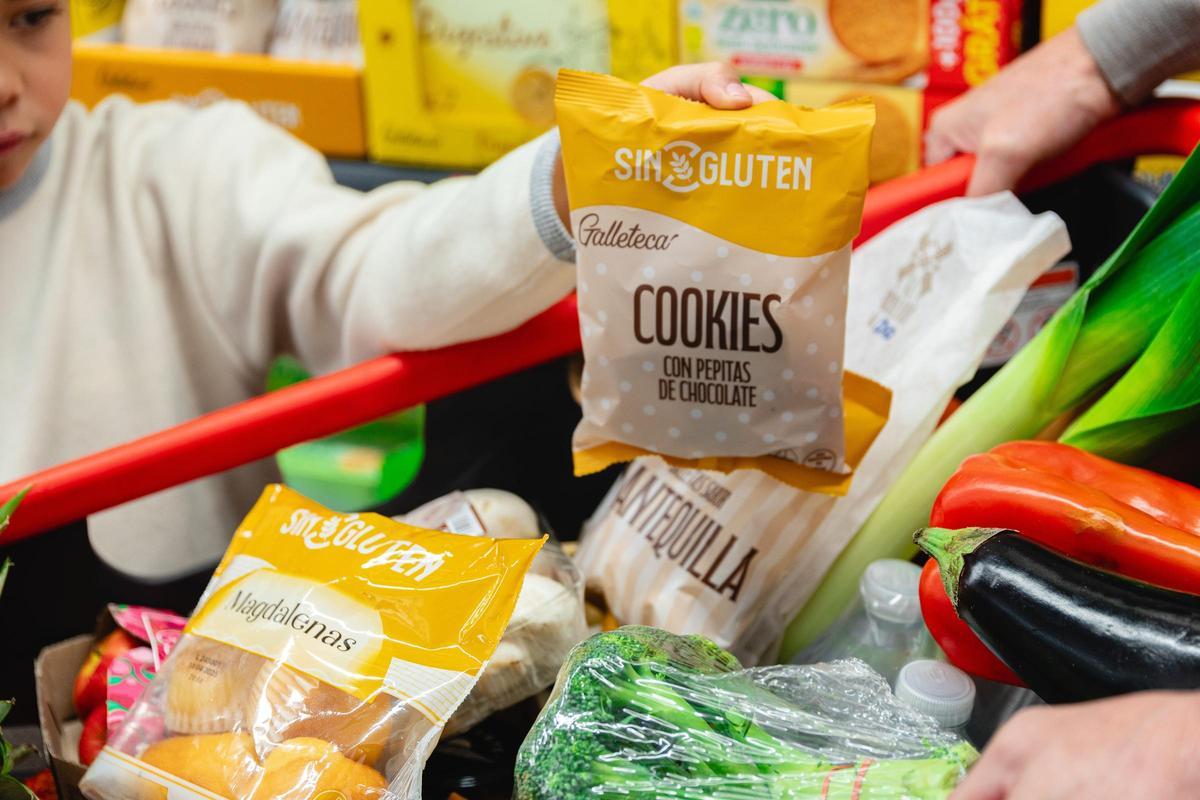 Cesta de la compra en uno de los establecimientos Dia