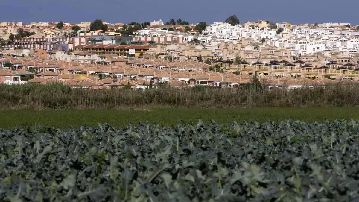 Vista de las urbanizaciones El Oasis, La Marina y La Escuera, al norte de San Fulgencio, donde se concentra la mayoría de residentes extranjeros