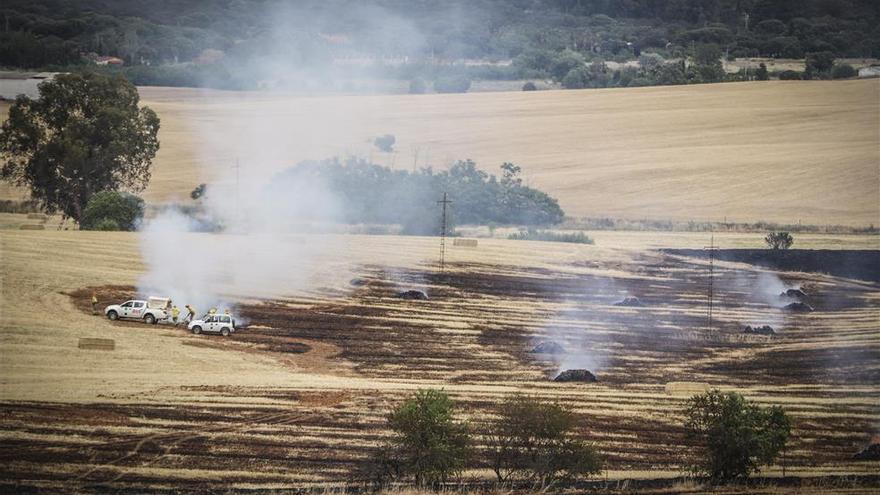 El fuego arrasa 100 hectáreas entre la dehesilla de Calamón y Campomanes, Badajoz