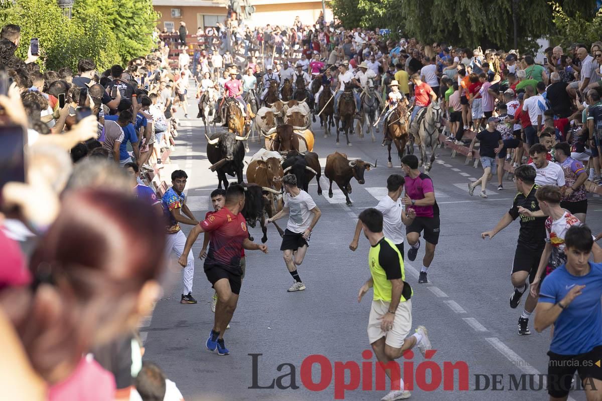 Quinto encierro de las Fiestas de Moratalla