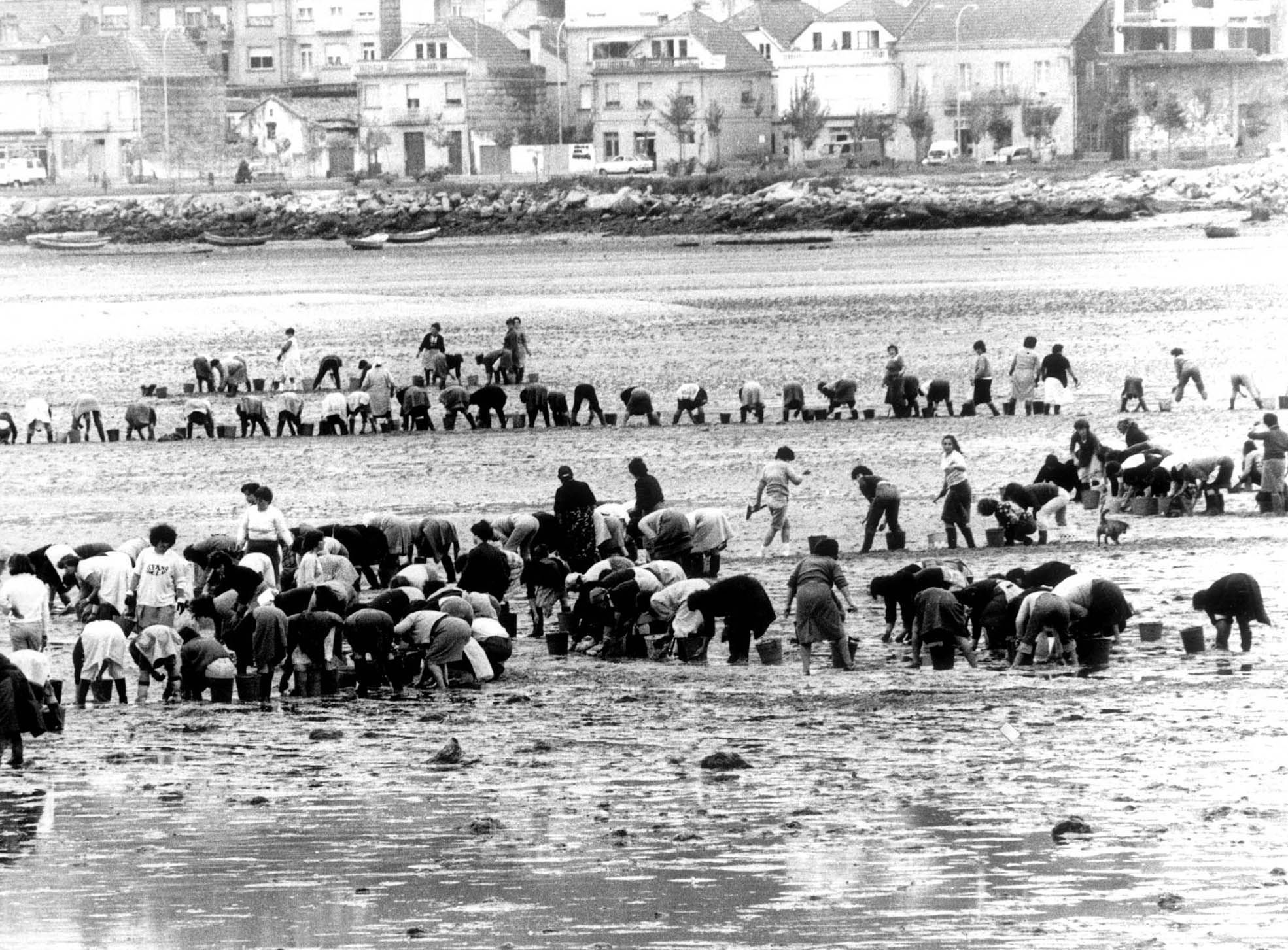 Mariscadoras en Moaña sin datar