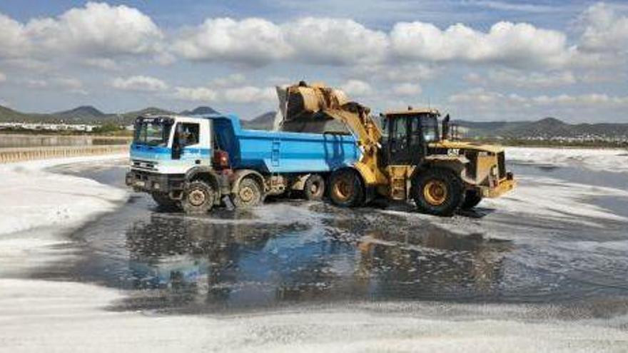 Una pala excavadora carga un camión de sal en uno de los estanques de ses Salines.